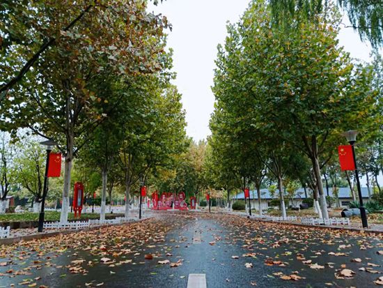 “醉美”重山秋（二）2