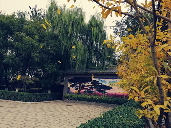 “醉美”重山秋（二）2