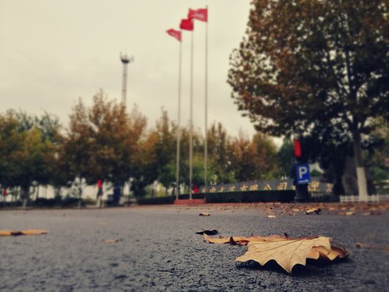 “醉美”重山秋（二）2