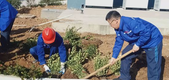 集團(tuán)機(jī)關(guān)黨支部組織綠化活動77