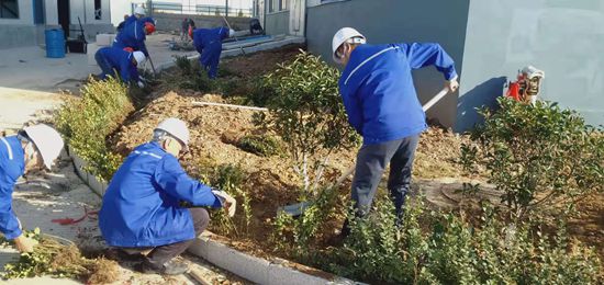 集團(tuán)機(jī)關(guān)黨支部組織綠化活動77