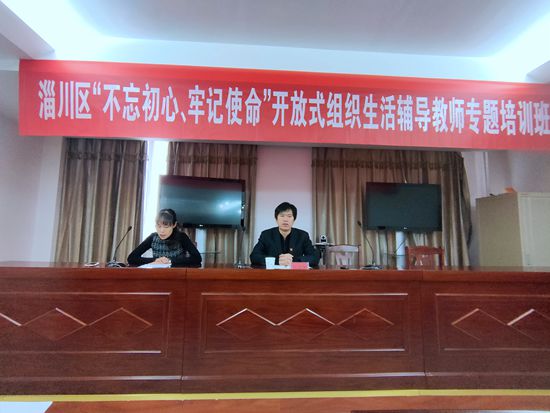 集團參加區(qū)開放式組織生活輔導教師專題培訓3