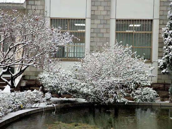 大修進(jìn)行時(shí)，這里有一群可愛(ài)的重山人......41