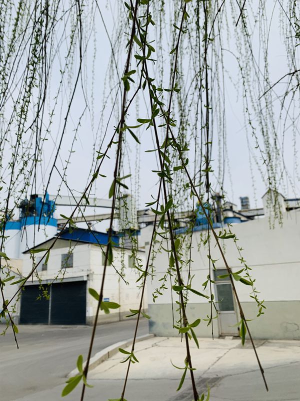 重山春已到 奮斗正當(dāng)時(shí)21