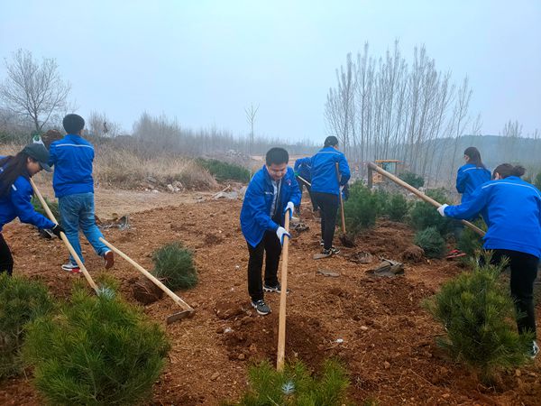 植樹綠化進行時70