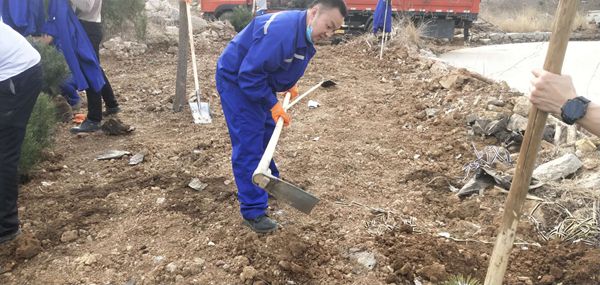 植樹綠化進行時70