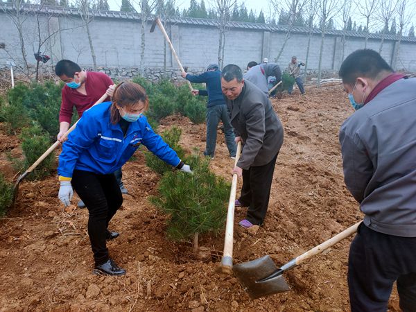 植樹綠化進行時70