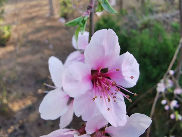 【重山影像】重山春已到 奮斗正當(dāng)時(shí)（二）20