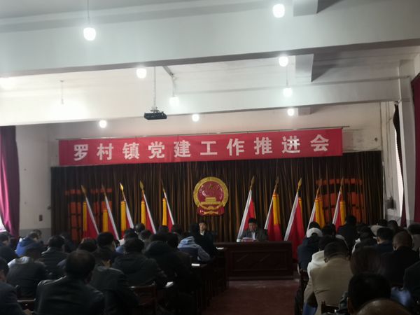 集團(tuán)參加羅村鎮(zhèn)黨建工作推進(jìn)會71