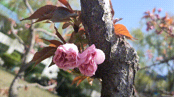 【重山影像】重山春已到 奮斗正當時（四）28