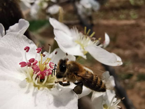 【重山影像】重山春已到 奮斗正當時（四）28