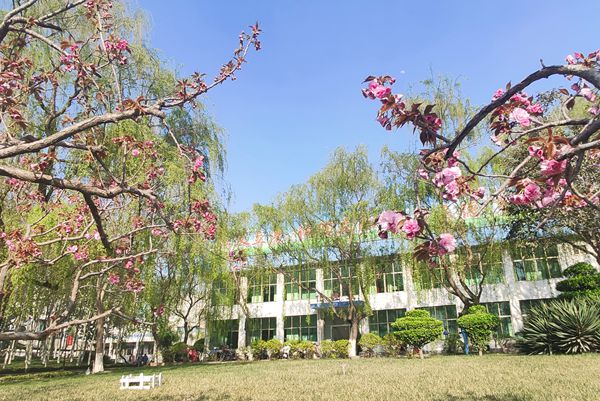 【重山影像】重山春已到 奮斗正當時（四）28