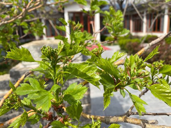 【重山影像】重山春已到 奮斗正當時（四）28