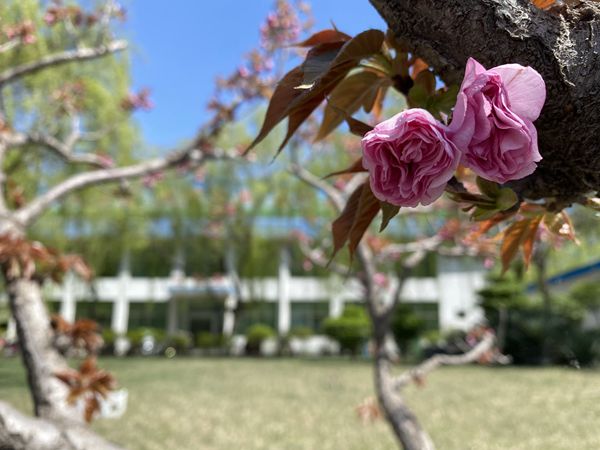 【重山影像】重山春已到 奮斗正當時（四）28