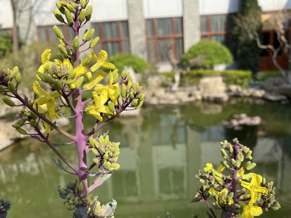 【重山影像】重山春已到 奮斗正當時（四）28