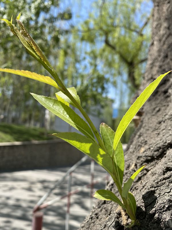 【重山影像】重山春已到 奮斗正當時（四）28