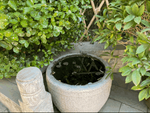 【重山影像】重山春已到 奮斗正當(dāng)時（六）25