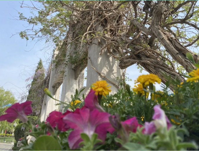 【重山影像】重山春已到 奮斗正當(dāng)時（六）25