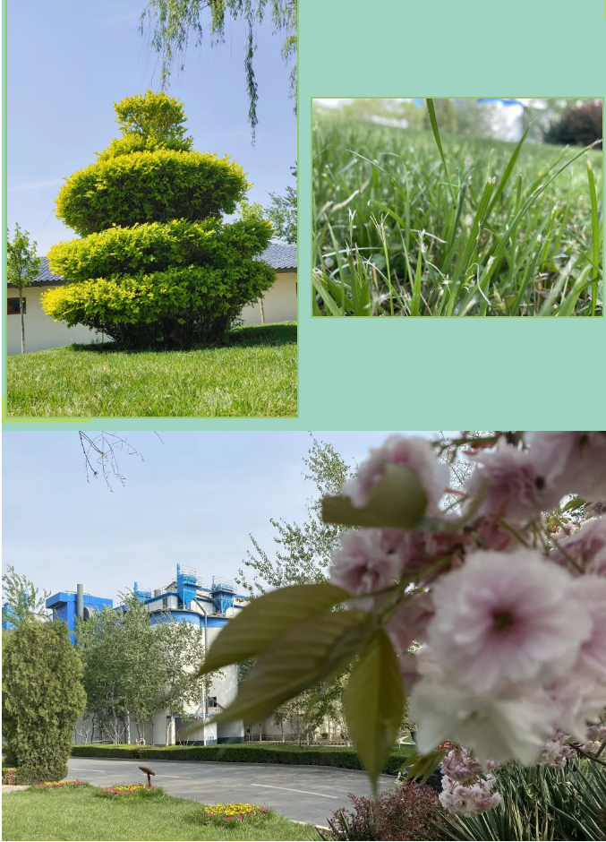 【重山影像】重山春已到 奮斗正當(dāng)時（六）25