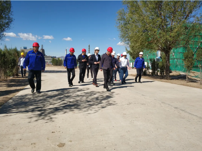 集團公司對鵬峰化工、黃驊三陽進行管理審核52