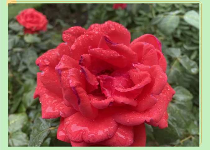 【重山影像】一起來(lái)看雨中的重山64