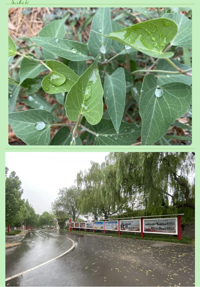 【重山影像】一起來(lái)看雨中的重山64