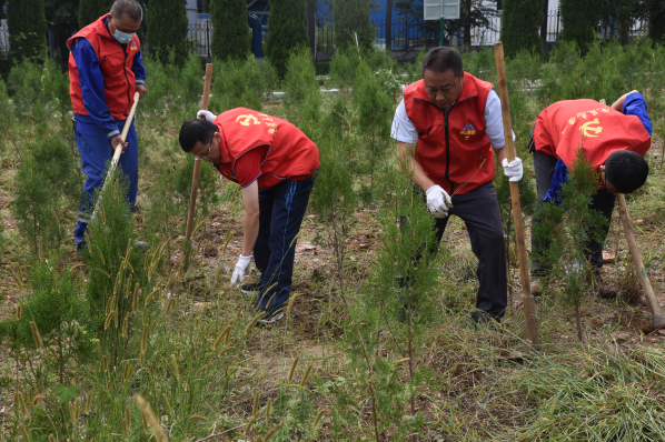黨員動起來 環(huán)境靚起來——集團機關黨支部組織志愿服務活動22