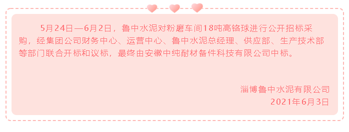 【中標公告】魯中水泥48