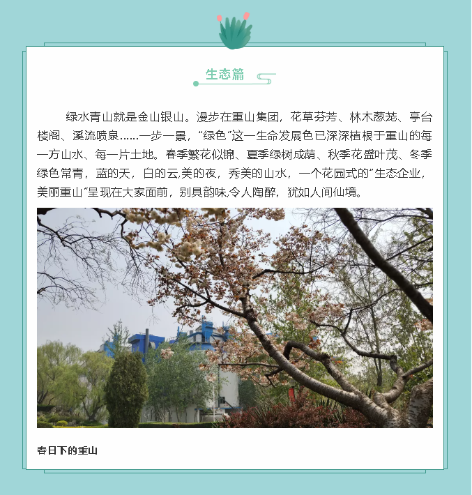 【鏡頭里的重山】邀您共賞重山之美！71