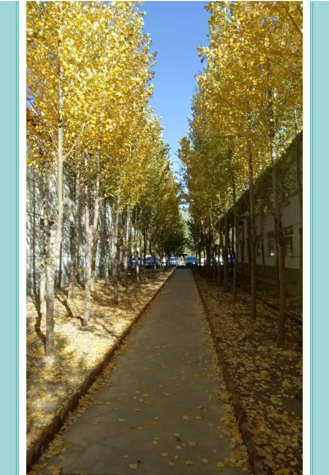 【鏡頭里的重山】邀您共賞重山之美！7