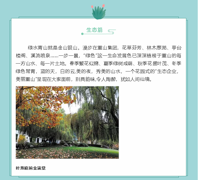 【鏡頭里的重山】邀您共賞重山之美！89