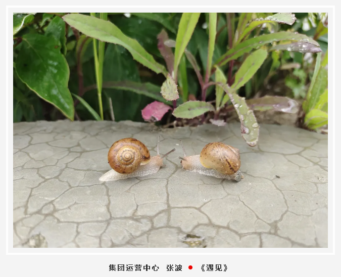 【魅力重山·幸福南韓】書(shū)畫(huà)攝影作品展（一）42