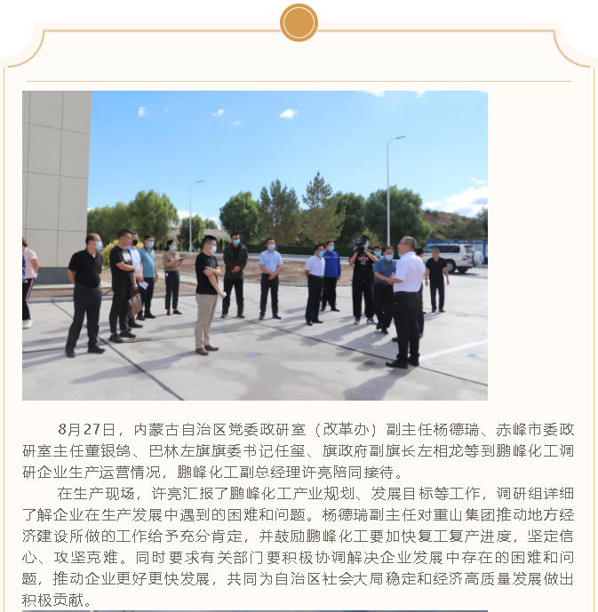 自治區(qū)黨委政研室到鵬峰化工調(diào)研指導工作34