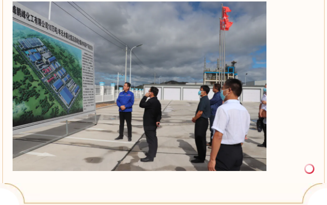 自治區(qū)黨委政研室到鵬峰化工調(diào)研指導工作34