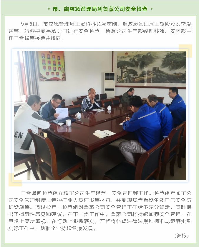 市、旗應(yīng)急管理局到魯蒙公司安全檢查40