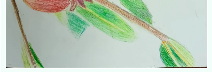 【魅力重山·幸福南韓】書畫攝影作品（六）37