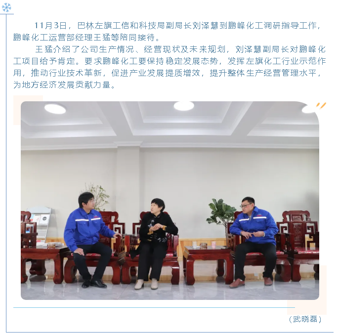 巴林左旗工信和科技局到鵬峰化工調研56