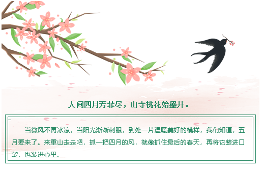 【重山影像】重山芳菲初夏近，萬物逢時皆美好