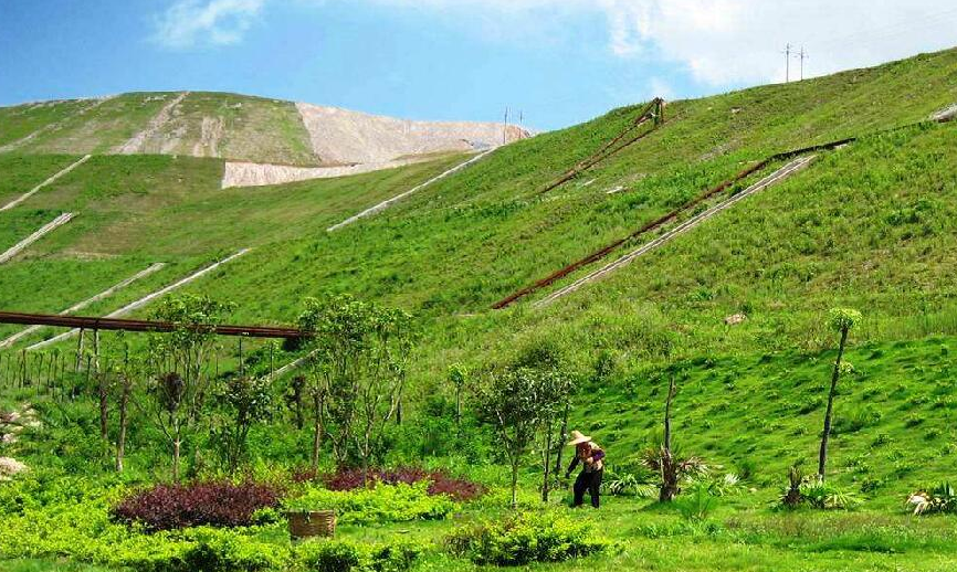 環(huán)境修復(fù)